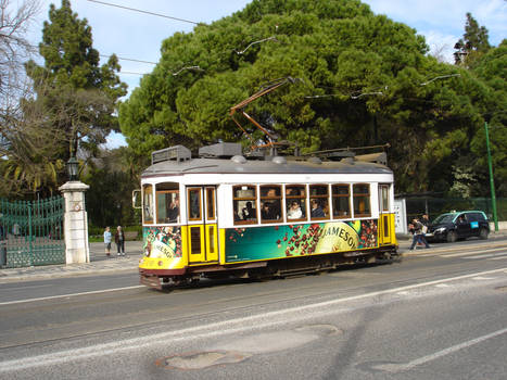 2010 - Lisbon - Portugal - Estrela