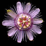 Passionflower