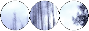 forest divider by nextii on DeviantArt
