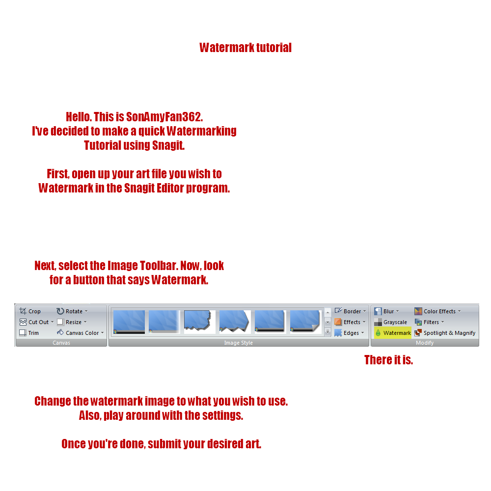 Snagit Watermark Tutorial