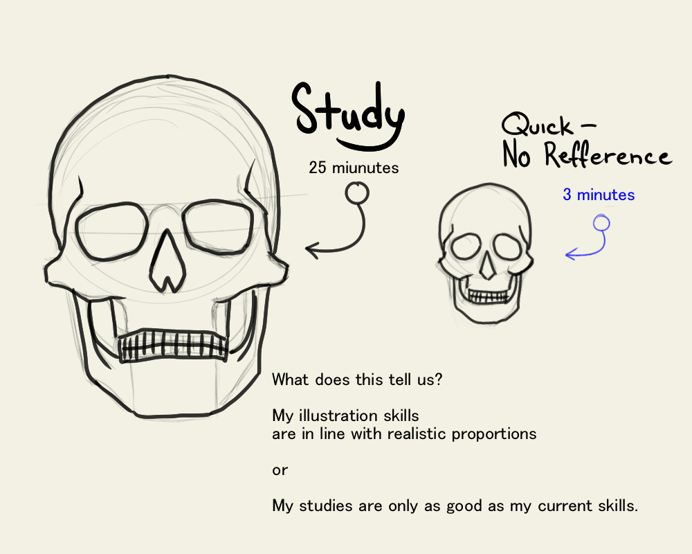 Skull Study