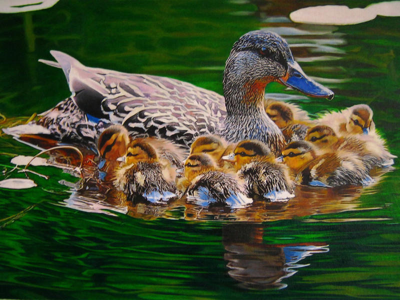 mama mallard