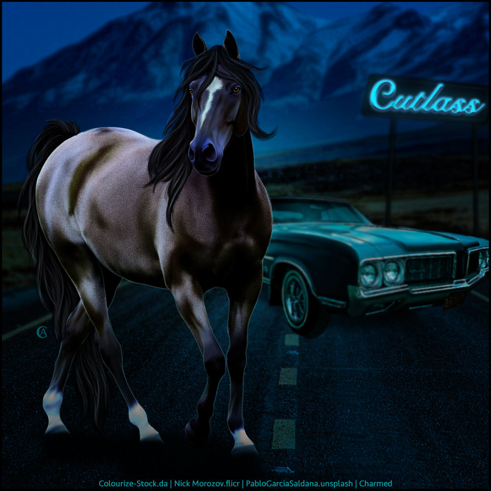 Cutlass by Charmed-Studios on DeviantArt