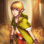 Hyrule Warriors - Linkle