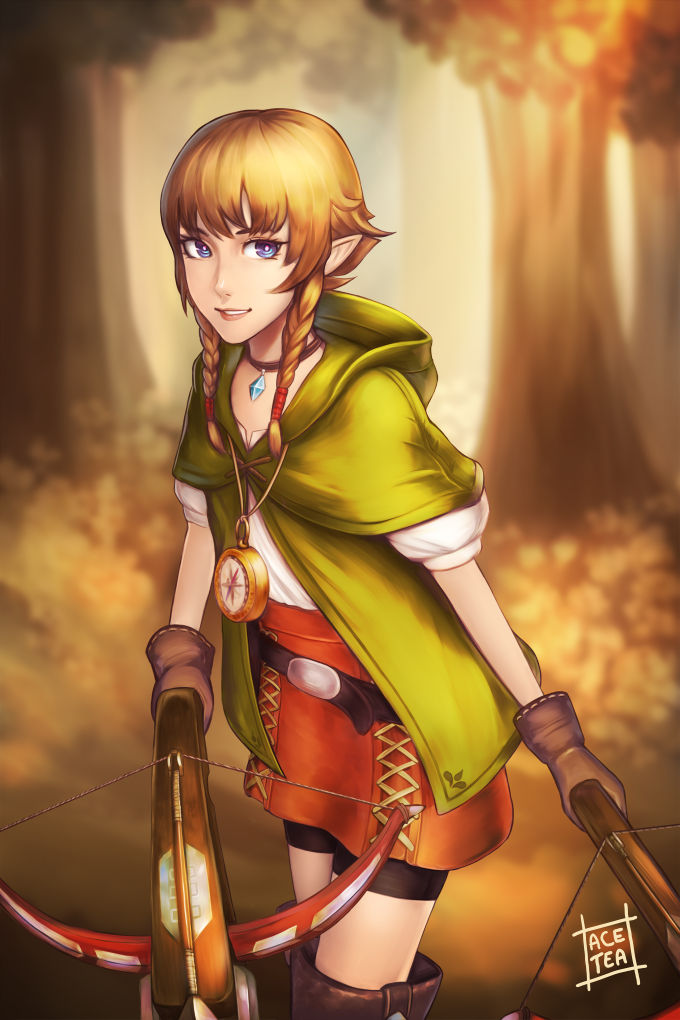 Hyrule Warriors - Linkle by acetea-san on DeviantArt