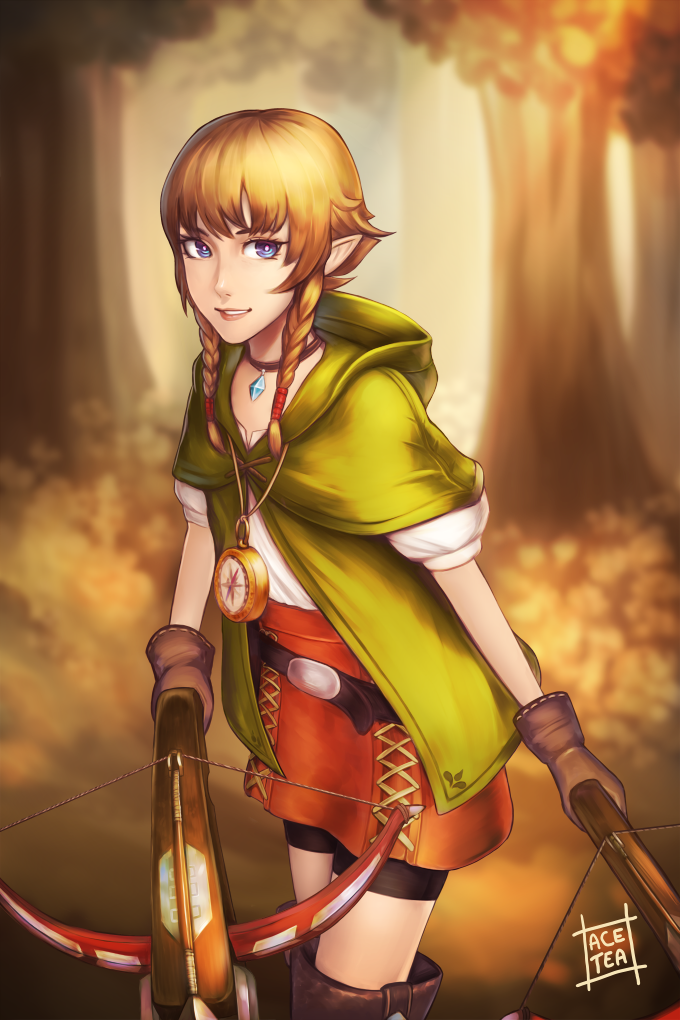 Hyrule Warriors - Linkle