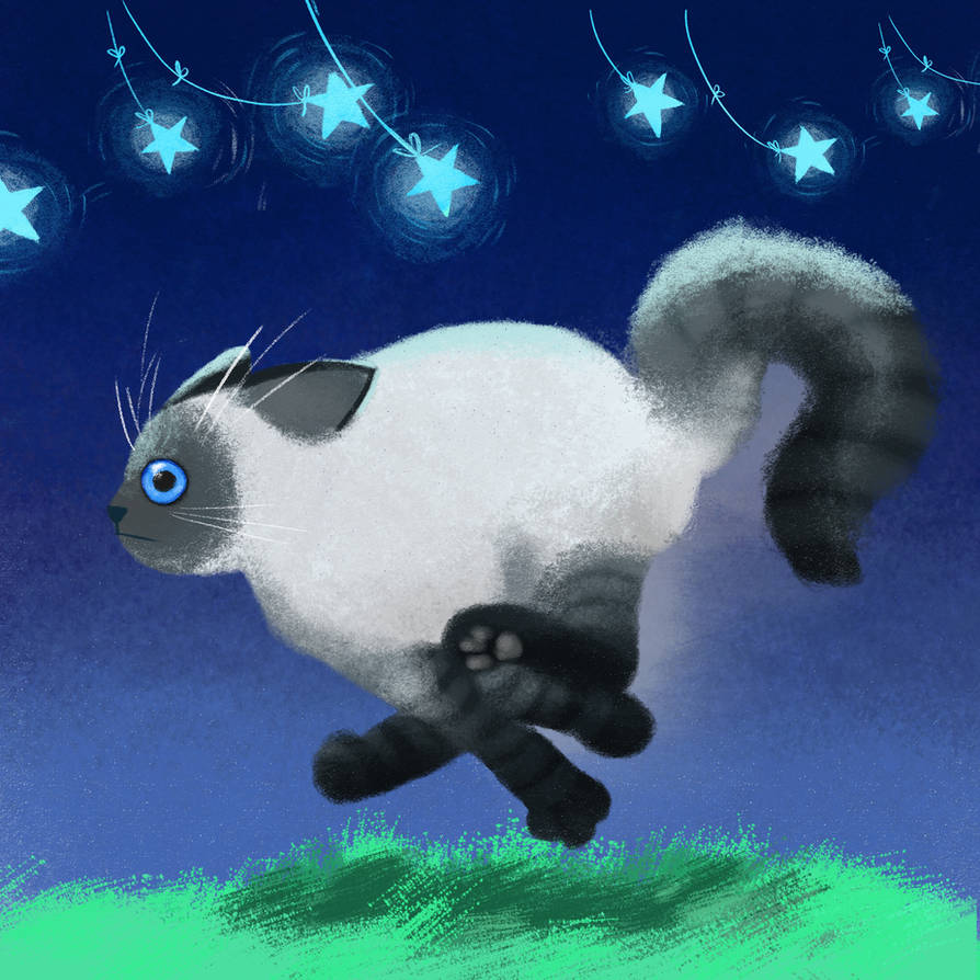 Cat Runar Run cat run! by Prodius-Anna on DeviantArt
