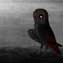 Evil Owl oc