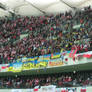 Poland - Ukraine football match  22.03.2013 (5)