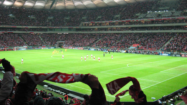 Poland - Ukraine football match  22.03.2013 (7)