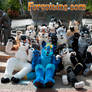 Official EuroFurence Fursuiting.com Group Photo