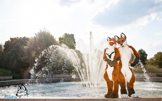 EuroFurence - Asha and Tellos [Wallpaper]