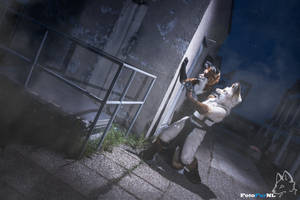 Fight or Flight by FotoFurNL Fight or Flight by FotoFurNL
