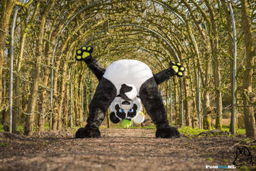 Fotofurnl Professional Photographer Deviantart Fotofurnl Professional Photographer Deviantart