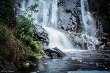 Steavonson's Falls