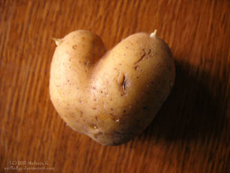 potato love