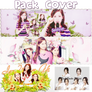 [262014] Pack Cover ( PSD )