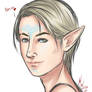 Finn Lavellan