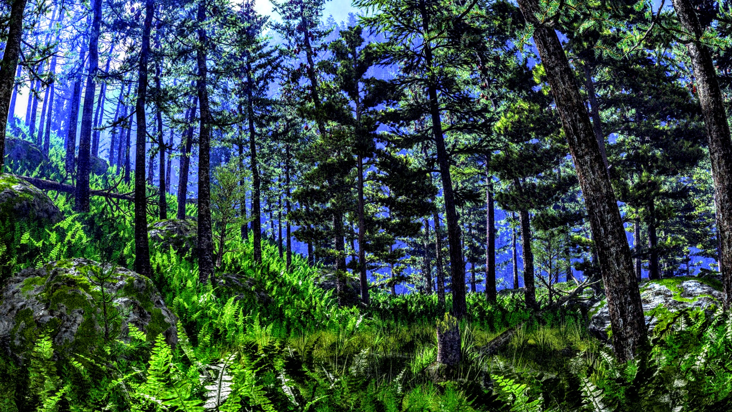 Boreal Forest 4K Wallpaper by ROGUE-RATTLESNAKE on DeviantArt