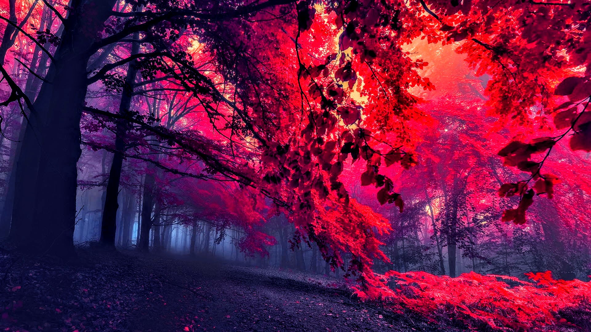 Very Beautiful Red Nature Wallpaper (Reversed) by ROGUE-RATTLESNAKE on  DeviantArt