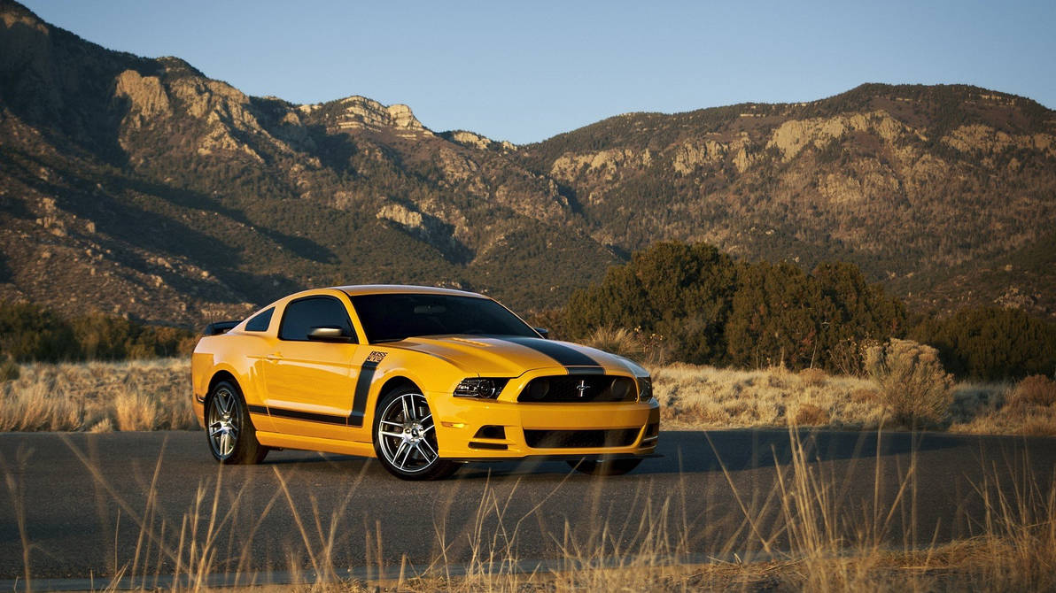 Обои форд мустанг. Форд Мустанг 2013 желтый. Ford Mustang Boss 302. Ford Mustang Boss. Ford Mustang 2013.
