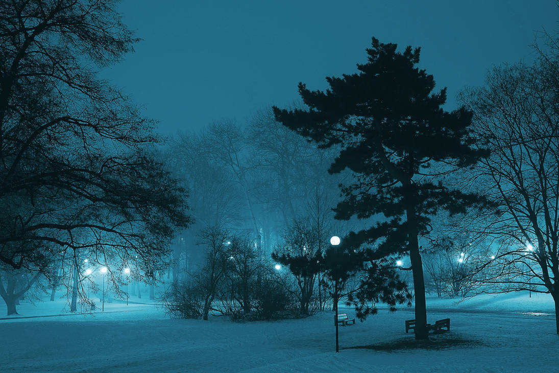 Темный холодный вечер. Зимняя ночь. Ночной зимний лес. Зимний лес вечером. Зимний парк вечером.