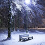 Beautiful Bench in a Snowy Winter Scenery