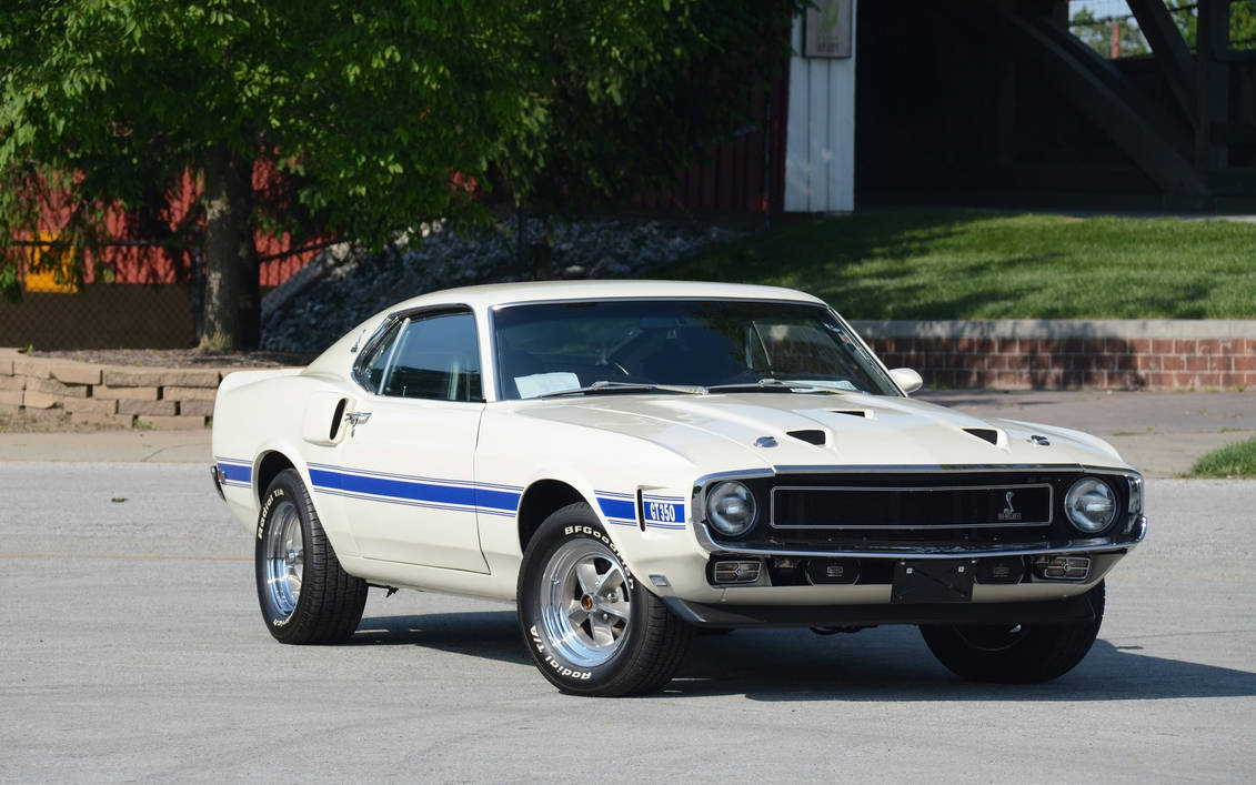 1969 Shelby Gt350 Fastback By Rogue Rattlesnake On Deviantart 1969 Shelby Gt350 Fastback By Rogue Rattlesnake