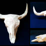 Buffalo Skull Papercraft
