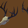 Deer Skull Render