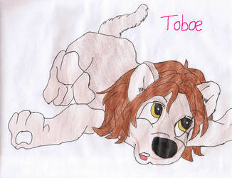 Chibi Toboe