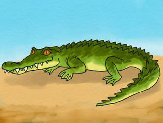 A Crocodile in 2021