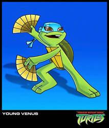Turtle Tot Venus