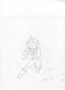 Vegeta ready to fight