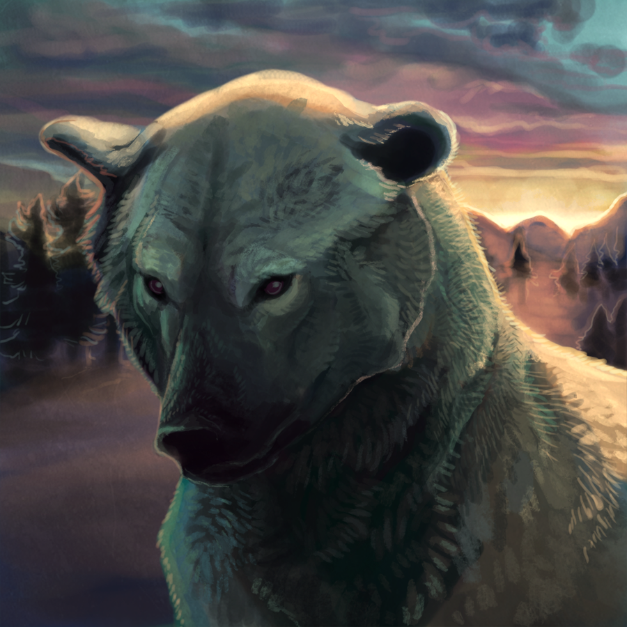 DAILY INSPIRATION: Polar Bear