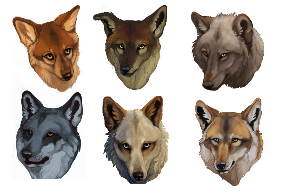 WOLF Headshots