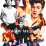 Shawn Mendes T-shirt Artwork PNG High Resolution