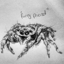 furry friend
