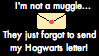 Not a Muggle