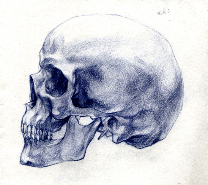 skull 3