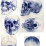 6 views skull