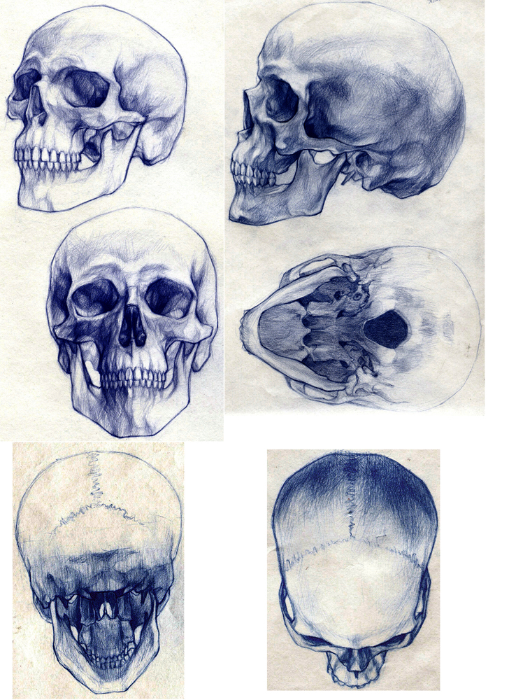 6 views skull