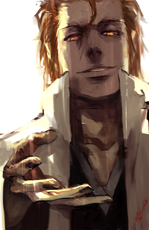 another aizen