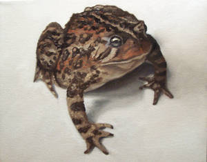 Canvas Toad Painting