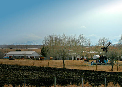 Rockies, Cattle and Oil