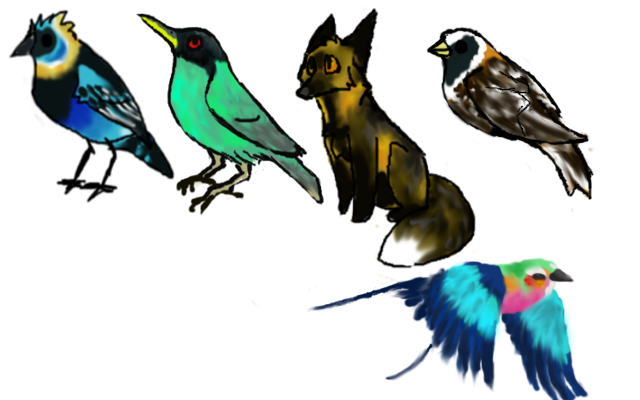 Doodle Birds