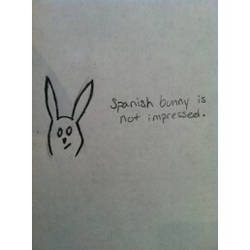 Another Spanish Bunny