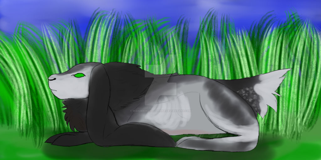 Nope Rabbit Normal Form by WanderingWolverine on DeviantArt