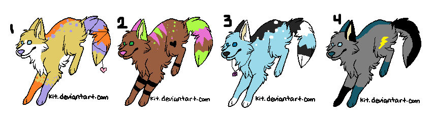 Name your price dog adopts CLOSED