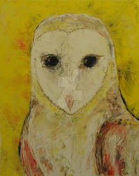 barn owl